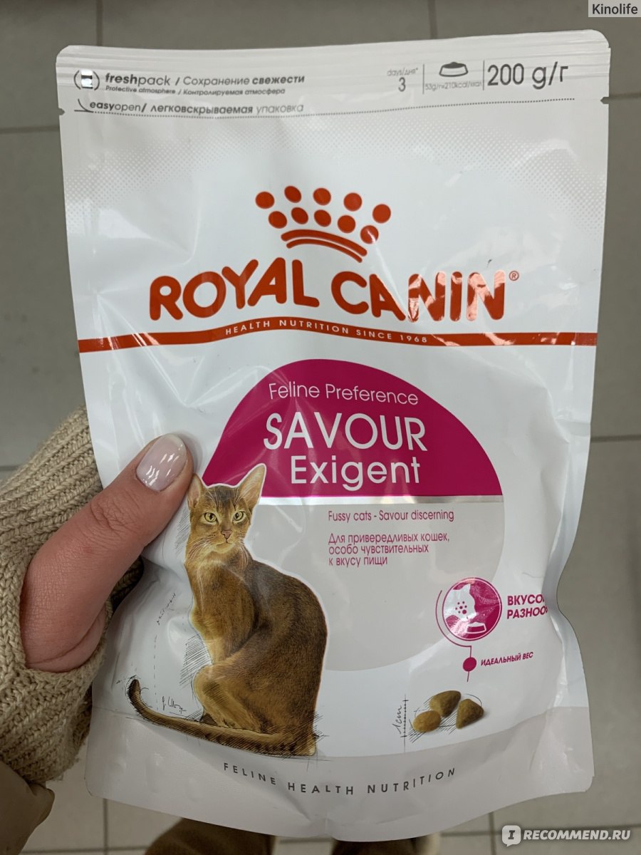 ROYAL CANIN Exigent 35|30 для привередливых ко вкусу кошек - «Идеальная ...
