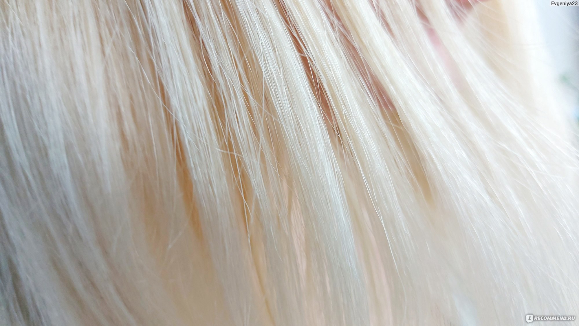 Краска для волос Palette Фитолиния с медом и маслом арганы фото