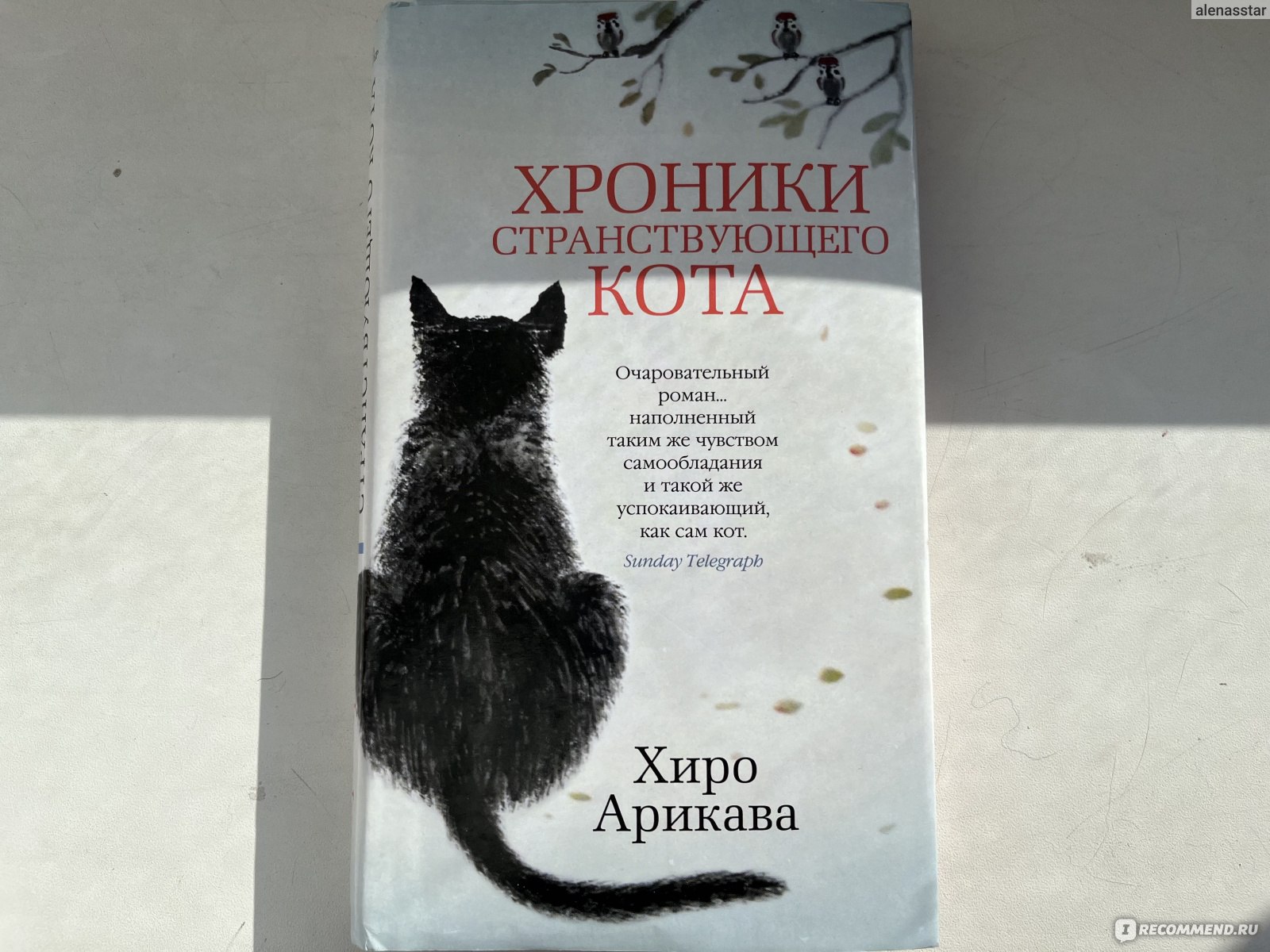 Хроники странствующего кота. Хиро Арикава - «Если бы Хатико был котом ...