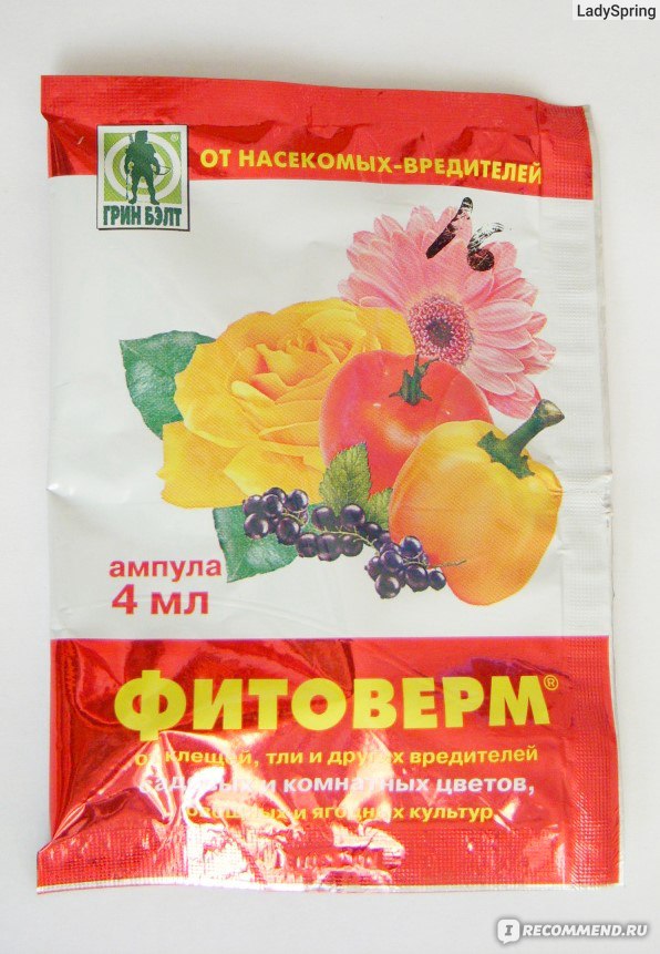 Биопрепарат Фитоверм - «Паутинный клещ, давай досвидания:))) Как ...