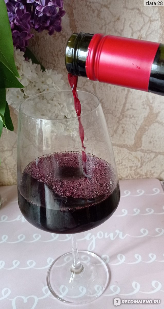 Вино красное сухое Pampas del Sur (Пампас дель Сур)  Мальбек фото