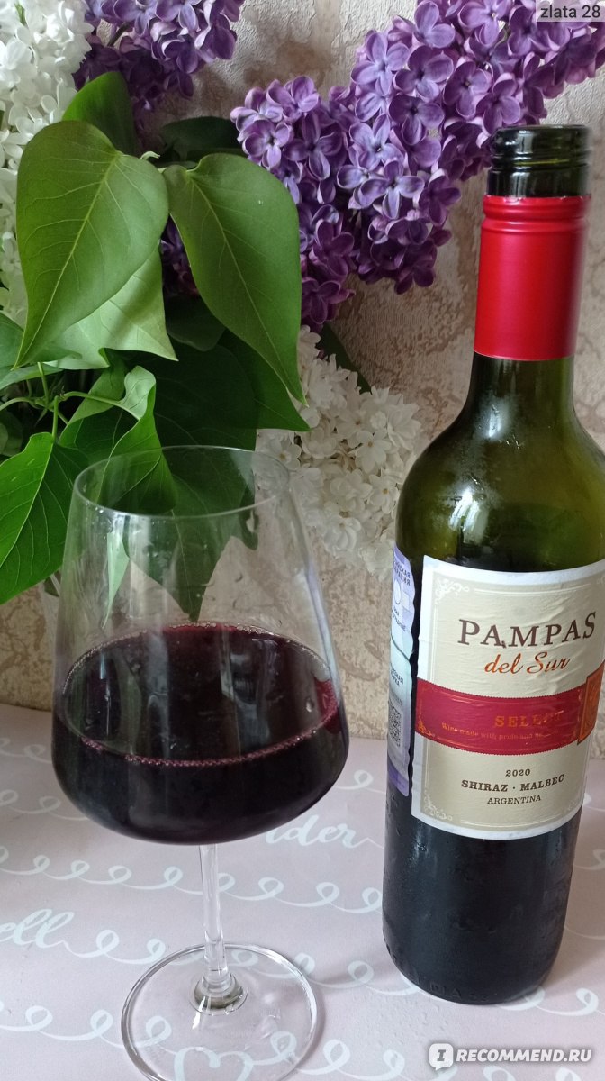Вино красное сухое Pampas del Sur (Пампас дель Сур)  Мальбек фото