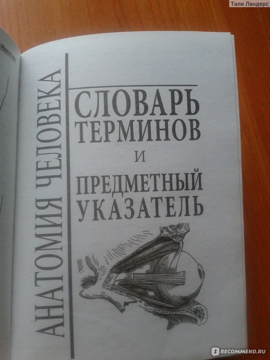 Анатомия человека. Полный компактный атлас. Боянович Юрий Владимирович ...