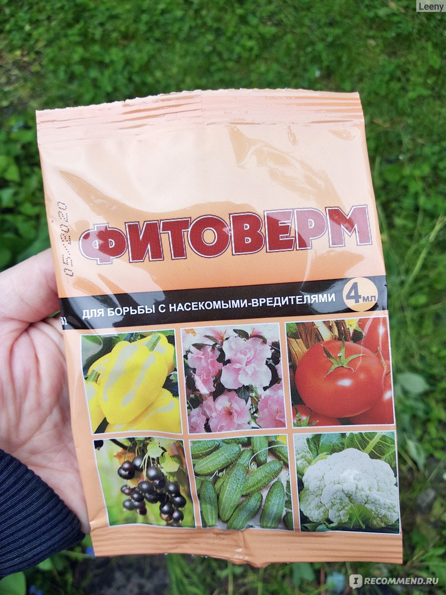 Биопрепарат Фитоверм - «Биопрепарат Фитоверм спас калину бульденеж и ...