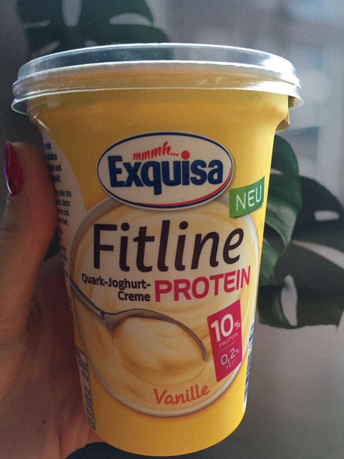 Йогурт Exquisa Quark-Joghurt-Creme Fitline Protein | отзывы